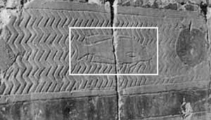 tilapia-hieroglyphics tilapia hieroglyphic